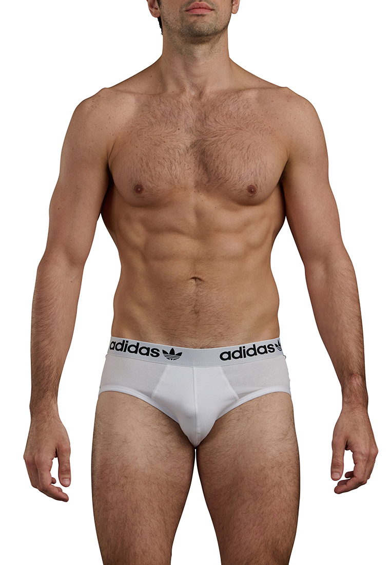 Adidas Underwear阿迪達斯內衣3PK BRIEF運動三角內褲-混色